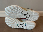 AIR JORDAN XXXV LOW Size 15