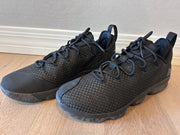 Lebron XIV Low Size 15