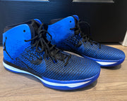 2017 Air Jordan 31 XXX1 Royal Size 15