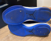 2017 Air Jordan 31 XXX1 Royal Size 15